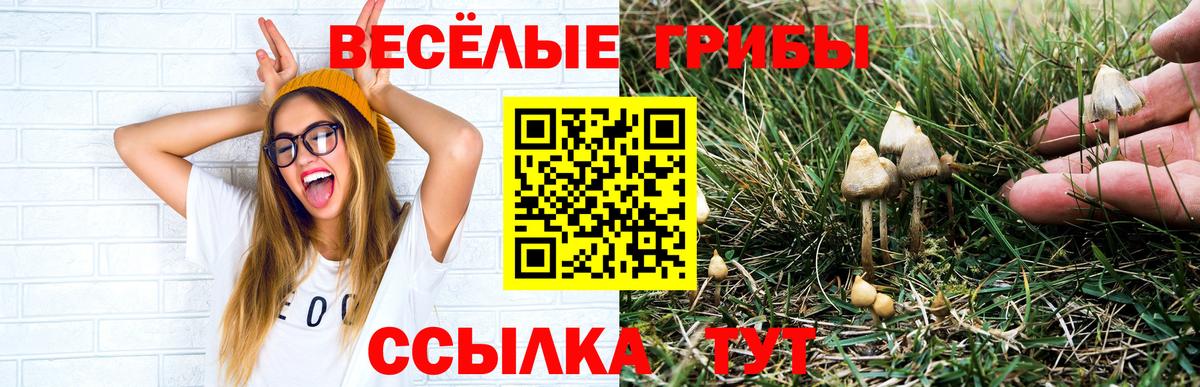 как найти наркотики  Вход с VPN  Узловая  Псилоцибиновые грибы Cubensis 