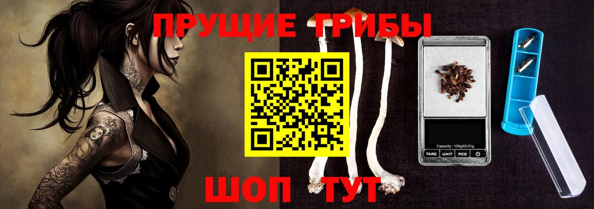 Псилоцибиновые грибы GOLDEN TEACHER Узловая